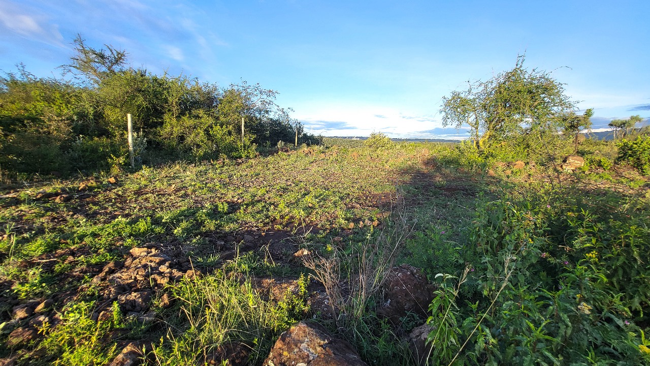 FARAJA GARDENS | PHASE 2 image 6